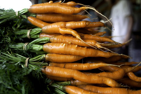 organic carrot2