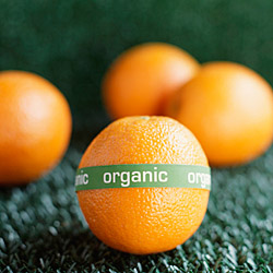 organic orange