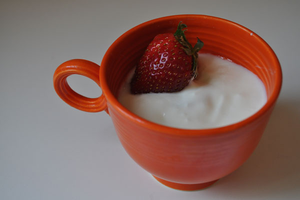 Yoghurt-2