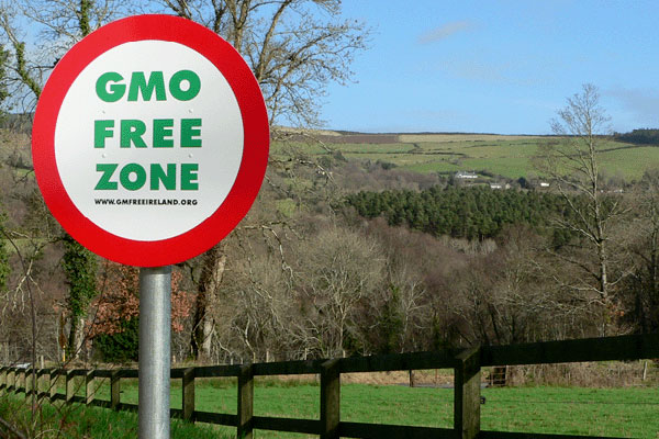 GMO-Free-Zone