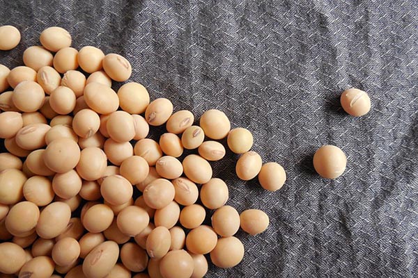 soybeans-1