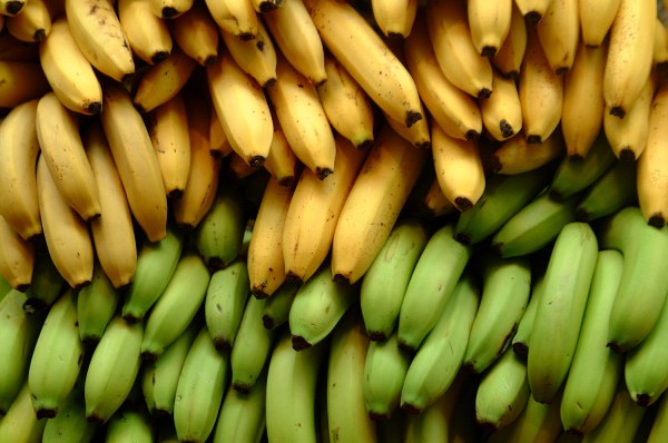 Bananas 01