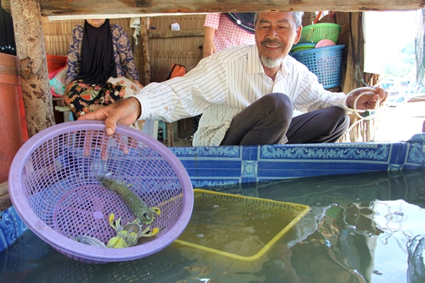 5. A local man shows Mantis shrimps bought from a local folk fisherman. The shrimps were caught off Satun shore.