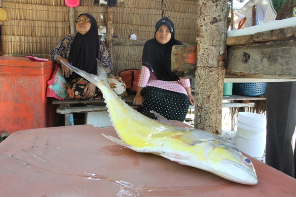 6. A local family buys fishes from fishermen folk