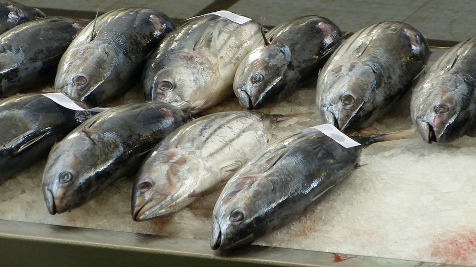 fish-market-1