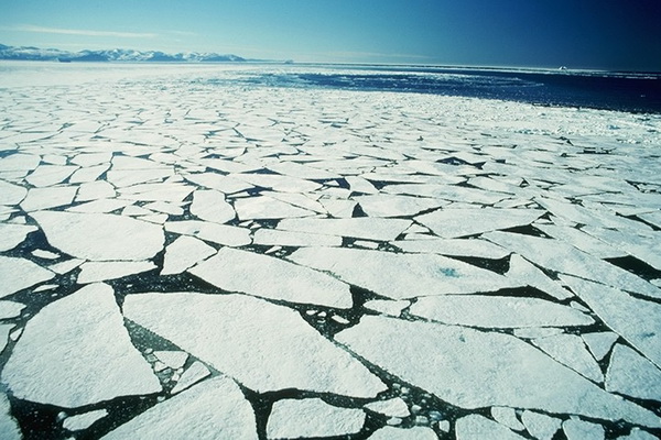 Arctic sea ice,melt
